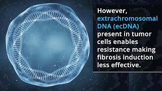 Nanoparticles Clear EcDNA to Boost Tumor Fibrosis and Enhance Cancer Therapy [upl. by Kra]