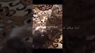 عمي اخذو بتكم مني لا ابتلي بيه😹😹 [upl. by Annauqal]