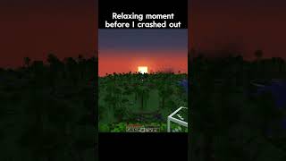 The Minecraft Experience  minecraft minecraftshorts minecraftmemes [upl. by Tallbott107]