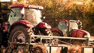 NY dry bean harvest 2013 pt1 [upl. by Nirol]