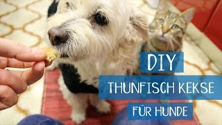 Hundekekse selber backen Rezept für einfache Thunfisch Kekse [upl. by Keram]