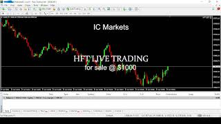 HFT BOT on IC Markets Live Trading Session Revealed 650 [upl. by Dash392]