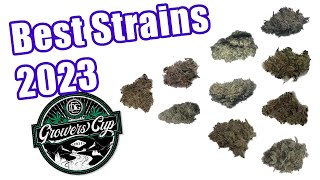 Top 10 Cannabis Strains DGC Cup 2023 [upl. by Eneluqcaj673]