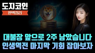 도지코인 전망 대불장 앞으로 2주 남았습니다 인생역전 마지막 기회 잡아보세요 [upl. by Enilada]