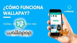 🎁WALLAPOP ¿ COMO FUNCIONA Wallapop WALLAPAY 🎆✨ WALLAPOP 9 [upl. by Nylireg]