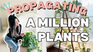 I Propagated a Million Plants at Midnight  Q amp A  Plant Chores  Houseplant Care Routine Tips [upl. by Atinor]