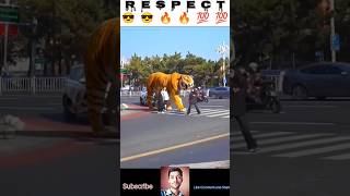 Lion Crossing Road 💯😱 shorts respect [upl. by Wilfred]