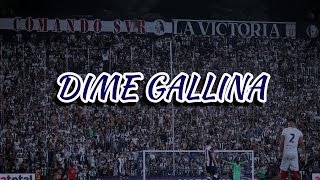 Dime Gallina  Alianza Lima LETRA [upl. by Namilus]