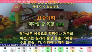 오늘의 운세  2019년 1월 17일 목요일 띠별 운세 1월 3째주 [upl. by Salis]