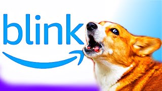 Blink Doorbell Sound for dogs [upl. by Au784]