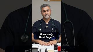 Sinek Isırığı Nasıl Geçer Sinek Isırması Durumunda Ne Yapılmalıdır [upl. by Ginsberg276]