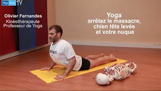 Yoga arrêtez le massacre chien tête levée et votre nuque [upl. by Nader]