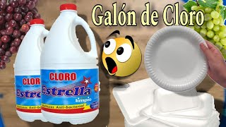 Increíble Idea con Simple GALÓN de CLORO y PLATOS DESECHABLES No podrás Creer 😱 el Resultado [upl. by Aneehta]