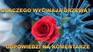 DLACZEGO WYCINAJĄ DRZEWA Odpowiedzi na komentarze Marek Taran cz11 [upl. by Nichols]