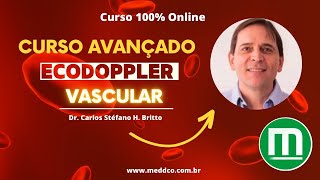 Curso Avançado de Ultrassom USG  Doppler Vascular [upl. by Assenal]