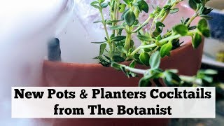 NEW Pots amp Planters Cocktail from The Botanist Newcastle with dry ice [upl. by Aracahs728]