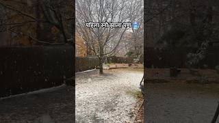 मुहूर्तावर झाला पहिला स्नो 🥶firstsnowinminnesota snowfall snowydays winteriscoming [upl. by Charters]