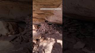 Look What We FOUND In A Remote Desert Canyon nativeamerican ancient ancienthistory [upl. by Reace]