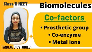 Biomolecules  Cofactors  Prosthetic group  Coenzyme  Metal ions  Class 11 biologyNEETAIIMS [upl. by Balthasar882]