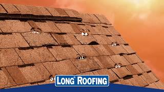 Long Roofing Summer Talking Shingle Commercial  ESB Advertising [upl. by Dehlia]