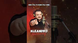 Ske Faj Ti Kam Faj Une  KLEANDRO HARRUNAJ orjadodesign [upl. by Alaehcim]