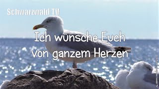 🎩🍀 Frohes neues Jahr 🥂🍾 Guten Rutsch 🏝️ Neujahrswünsche 🍾 Happy New Year Silvester Grußvideo [upl. by Fraze]