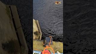 Unbelievable Magnet Fishing Find Giant Weight Pulled From the Deep magnetfishing [upl. by Dace]