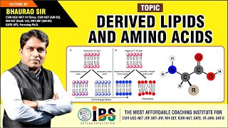 DERIVED LIPIDS AND AMINO ACIDS [upl. by Htir69]