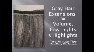 Gray Extensions for Volume Low Lights amp Highlights  E [upl. by Agbogla]