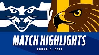 Match Highlights Geelong v Hawthorn  Round 2 2018  AFL [upl. by Wernda]