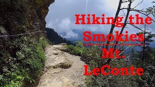 Hiking the Smokies  Mt LeConte [upl. by Casilde]