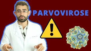 Parvovirose  Dica Veterinária 14 [upl. by Solakcin]