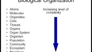 Biology 1010 Lecture 1 Intro to Biology [upl. by Akcirahs]