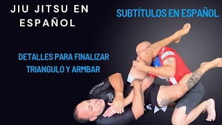 Professor Anderson Explicando detalles para Armbar y Triangulo basicos [upl. by Llennoc]