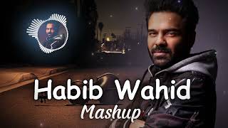 Habib Wahid New Version Song 2024  Lofi song Latest Version [upl. by Anitan407]