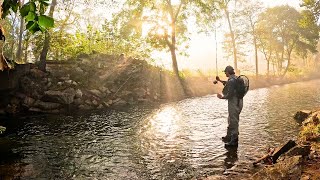 Magical Morning Mist  Fly Fishing North GA [upl. by Jesselyn]