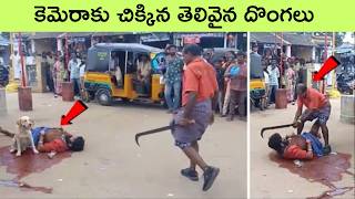 Most unbelievable movements caught on camera  BMC Facts  facts in Telugu  interesting facts [upl. by Kcinomod]