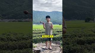 Kid Mastering Asalato While Standing on a Stump [upl. by Norra]