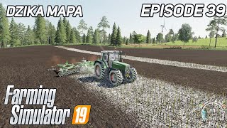 Cultivation amp liming of Large Field  FS19  Farming Simulator 19  Timelapse  Dzika Mapa 39 [upl. by Sanoy]