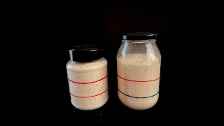 Make your own Sourdough Starter wild yeast  Full recipe in the description below [upl. by Utimer361]