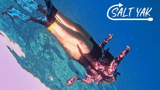 Key West Snorkeling and Tarpon on Islamorada floridakeys tarpon snorkeling [upl. by Nivan]