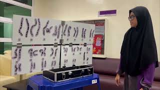 Portable Cytogenetics Karyotyping Learning Kit and teaching AidC [upl. by Nwad416]