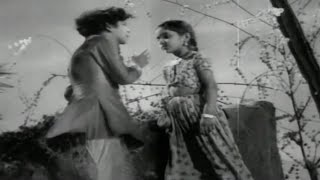 Oh Devadas Video Song  Devadasu Movie  Akkineni Nageswara Rao Savitri  Shalimar Cinema [upl. by Remus]