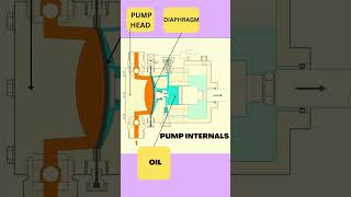 DIAPHRAGM METERING PUMP [upl. by Limber]