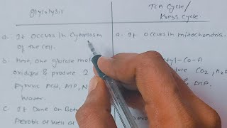 Write difference between glycolysis and Krebs cycle  Glycolysis amp Krebs Cycle ssc msbshse [upl. by Adnahsal]