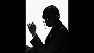 TRAVIS SCOTT x METRO BOOMIN TYPE BEAT  quotSKYWALKINquot [upl. by Ylram979]