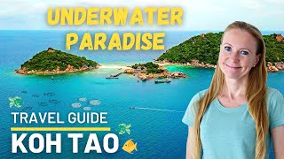 Koh Tao Thailand ultimate travel guide 🐠🌴😊 [upl. by Eemak]