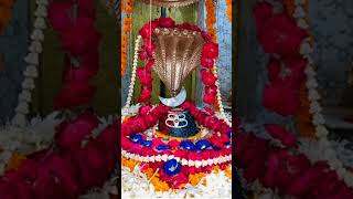 हर पल तुम मेरे साथ रहो ।bhakti mahakal mahadev shiv bholenathshivshankarshivshakti bholebaba [upl. by Asatan]