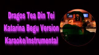 Dragostea Din Tei Katerina Begu Karaoke Intrumental garageband cover [upl. by Bezanson]