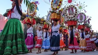 Convite de Flores 2016 Fiesta Patronal de San Sebastián Tutla Oaxaca [upl. by Kirwin]